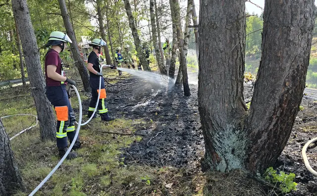 Feuerwehren aus den Gemeinden Stelle und Seevetal waren bei einem Bahnböschungsbrand in Stelle im Einsatz. Hier brannten mehr als 100 Quadratmeter Bahnböschung und Unterholz | Foto: Pressestelle Feuerwehr Seevetal