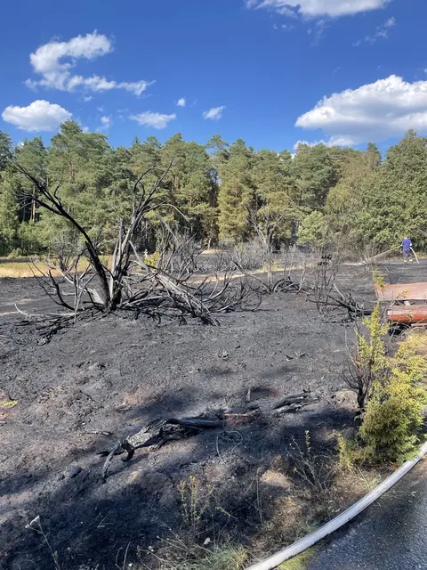 Statt lila Heide nur eine schwarze Fläche | Foto: Waldklinik