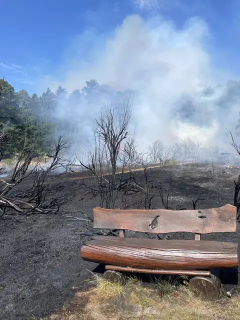 Die Ursache des Brandes ist noch nicht bestimmt | Foto: Waldklinik