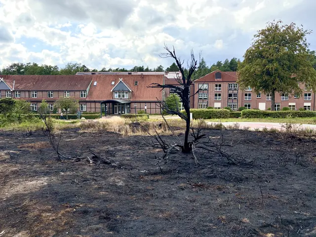 Das Gelände der Waldklinik nach dem Flächenbrand | Foto: hg