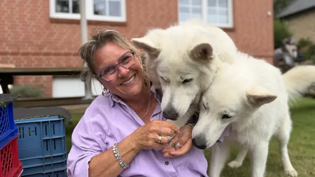 Leckerlis und ganz viel Zuneigung: Für Herkules und Cerberus gehört beides dazu. Gemeinsam mit Gabriele Staatz-Duckert schenken die beiden Support Dogs anderen Menschen besondere Momente | Foto: tml