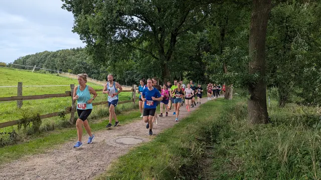 Teilnehmer des Viertelmarathons auf der Strecke | Foto: Alexander Mohr/HNT