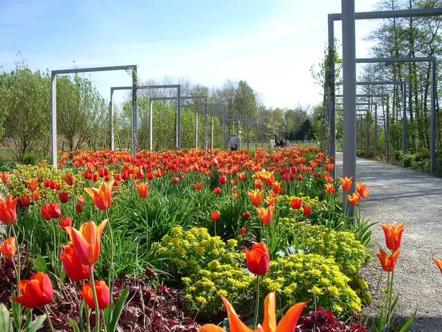 2006 wurden aus Plantagen und Wiesen Parks in Winsen | Foto: Museum im Marstall