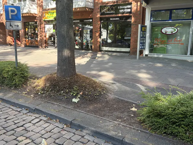 Da Rollstuhlfahrer, die auf Höhe der Physiotherapie-Praxis parken, über diese Bordsteinkante und zwischen der Bepflanzung nicht auf den Gehweg gelangen, müssen sie ein Stück auf der Straße fahren - wenn sie es überhaupt schaffen, ihr Auto zu verlassen