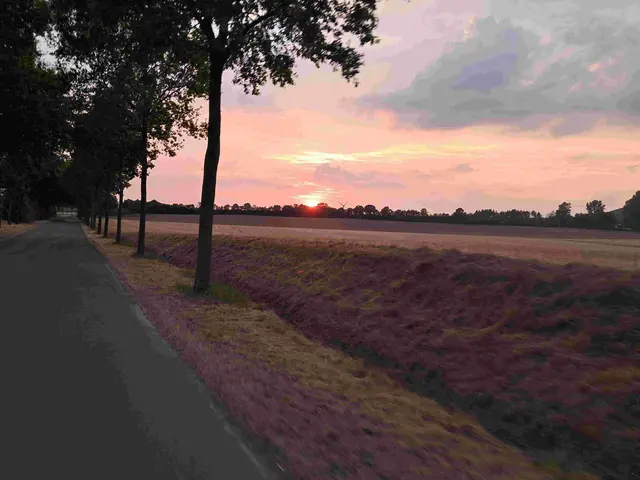  600-Kilometer-Brevet des ARA Bremen | Foto: Ollanner Radteam