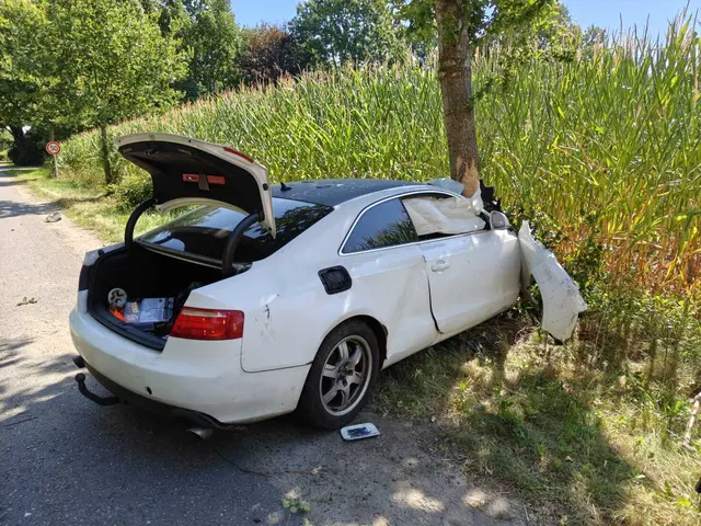 Zwei Verletzte nach Unfall mit einem Audi | Foto: Polizeiinspektion Stade
