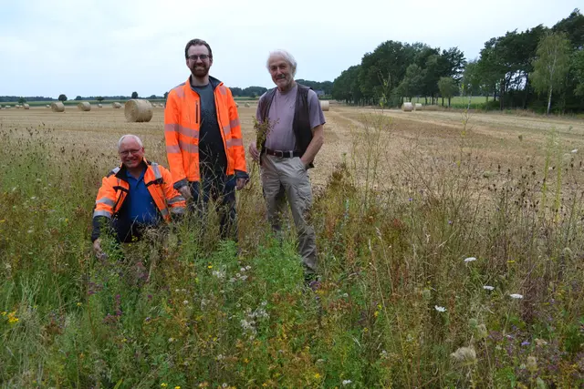 Freuen sich über das gelungene Blühprojekt (v. li.): Klaus Meinecke (Bauhof Samtgemeinde Tostedt), Christoph Büll (Umweltabteilung der Samtgemeinde) und Karsten Müller vom Arbeitskreis Naturschutz | Foto: bim