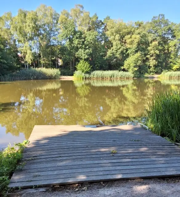 Auch die zweite Plattform für Angler am Stadtteich ist marode und wird abgebaut | Foto: Stadt Buchholz