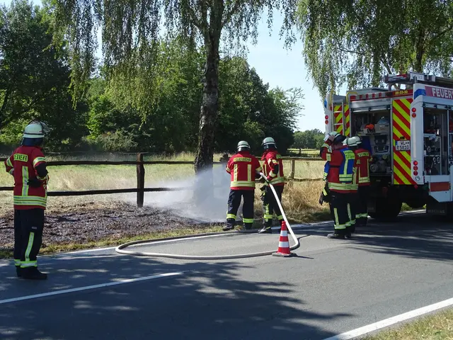 Das brennende Gras wurde gelöscht | Foto: Feuerwehr SG Hanstedt