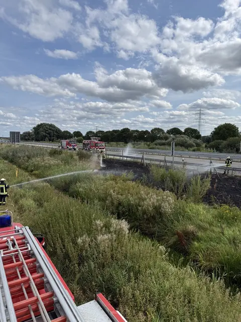 An der A26 standen rund 120 Quadratmeter Fläche in Flammen | Foto: T. Ladwig/Feuerwehr Gemeinde Jork