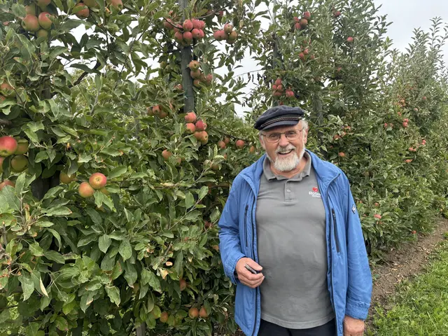 Bioobstbauer im Ruhestand und Gartenbauingenieur Peter Rolker (72) aus Jork | Foto: sts
