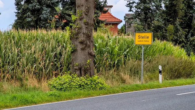 Wo derzeit noch wie verrückt der Mais wächst, sollen in einigen Jahren möglicherweise Häuser stehen | Foto: Jan Filter
