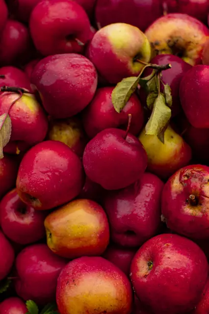 Äpfel sind in Deutschland ein beliebtes Obst | Foto: Valentyna Ivanova