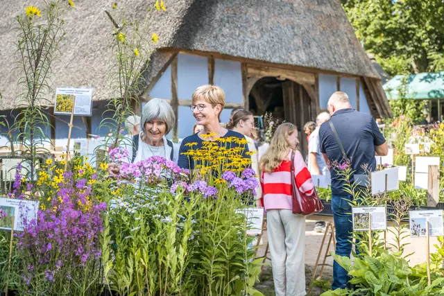 Das Museumsgelände blüht auf beim Pflanzenmarkt am 29. und 30.8. im Freilichtmuseum am Kiekeberg | Foto: FLMK