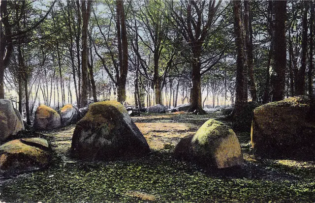 Diese historische Aufnahme von den Großsteingräbern stammt aus dem Jahr 1912 | Foto: Scan hist. Postkarte