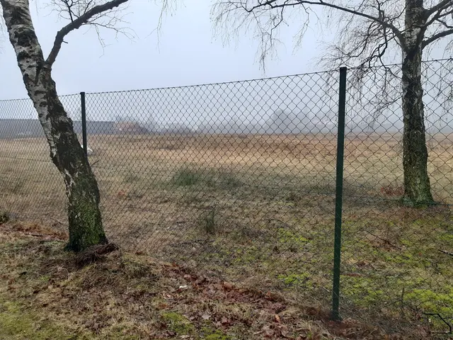 Die brachliegende ehemalige Rütgersfläche im Herzen von Buchholz | Foto: os