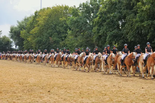 147 schafften die geforderte Quadrille: Die Haflingerfreunde Kreis Cuxhaven waren mittendrin | Foto: Nele Bauer