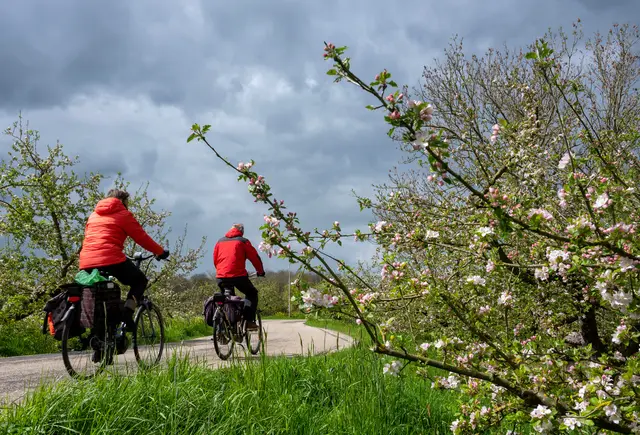 Die Radrouten in der Region sollen komfortabler werden | Foto: ahavelaar/AdobeStock