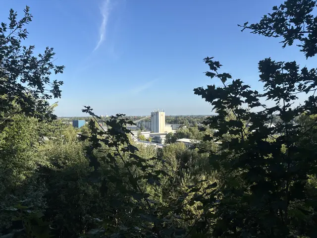 Die Aussicht | Foto: sts