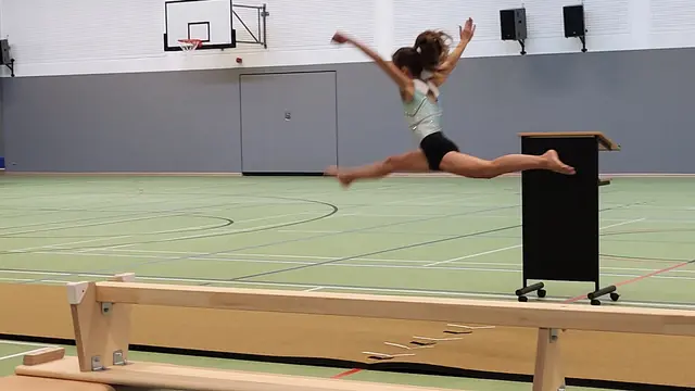 Die Schüler der drei Schulen beeindruckten mit Sportdarbietungen | Foto: sh