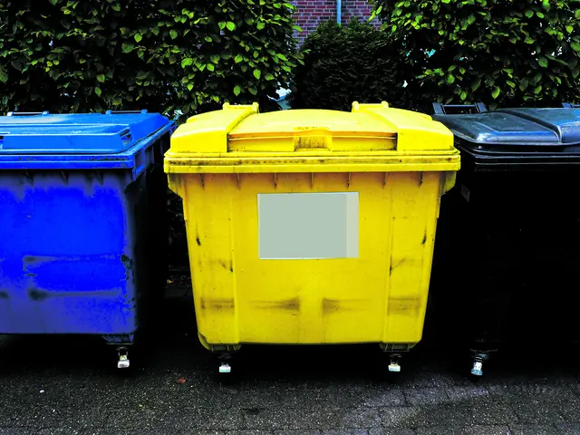  Die Firma Veolia übernimmt die Entsorgung der Blauen (Altpapier) und Gelben Tonnen (Verpackungsmüll)  | Foto: Axel-Holger Haase