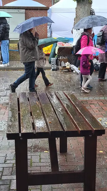 Auch das gehörte in diesem Jahr zum Flohmarkt: Platzregen | Foto: sh