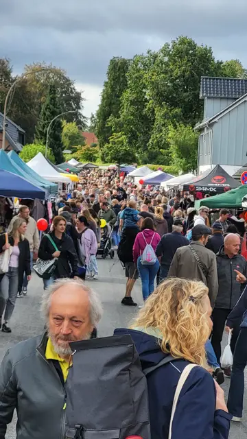 Rund 35.000 Besucher kamen zum großen Tostedter Flohmarkt | Foto: sh