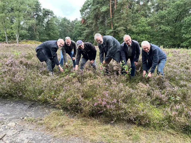Symbolische Heidepflege (v.li.): Landrat Kai Seefried (2. v.li.), Naturschutzamtsleiter Dr. Uwe Andreas (3. v.li.) und Kreisarchäologe Daniel Nösler (4. v.li.) mit Dr. Eckart Lanz (li.) und weiteren Mitglieder des Lion Clubs | Foto: Daniel Beneke/Landkreis Stade