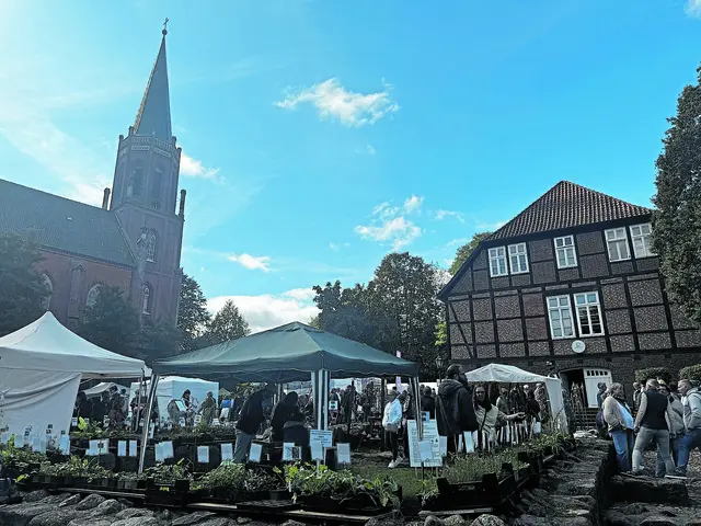 Der Herbstzauber in Harsefeld | Foto: sc