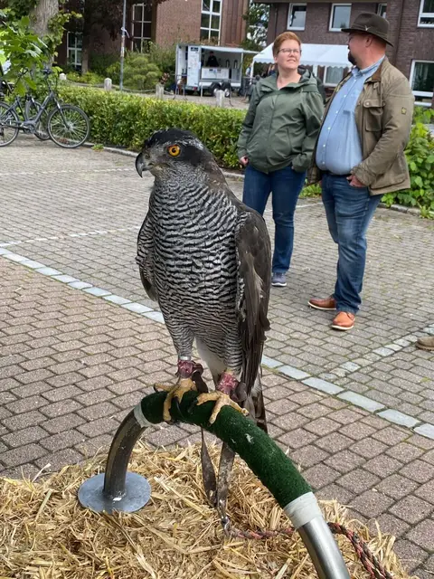 Foto: ein