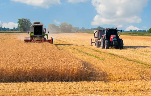 Hitze und Trockenheit macht der Landwirtschaft dieses Jahr zu schaffen (Symbolfoto) | Foto: AdobeStock / Solid photos
