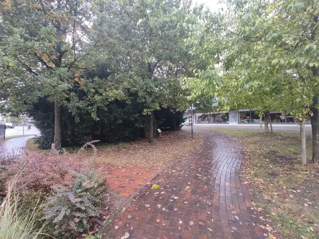 Diese Schmuddelecke mitten in Buchholz, in der sich die Trinker nicht nur trafen sondern auch ihre Notdurft verrichteten, wurde von der Stadt Buchholz mittlerweile entfernt | Foto: Stadt Buchholz
