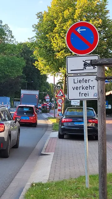Schilderwald und Stau - das tägliche Murmeltier im Buchholzer Stadtverkehr | Foto: sh