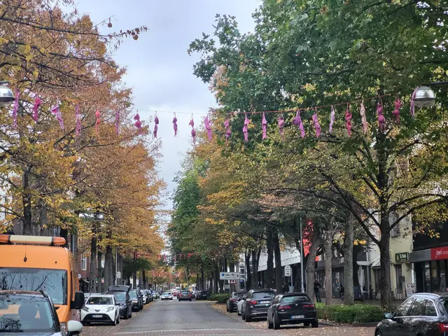 Im Pinktober wird Buxtehude mit BH-Girlanden geschmückt - hier ein Foto aus dem Vorjahr