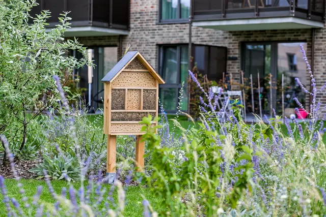 Der begrünte Innenhof mit Insektenhotel | Foto: HBI