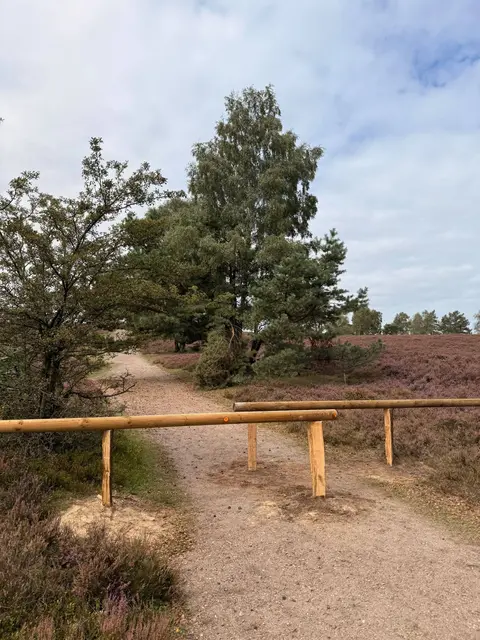 Holzbarrieren sorgen am Brunsberg für mehr Sicherheit und stoppen Fahrradfahrer, die mit hoher Geschwindigkeit unterwegs sind | Foto: Landkreis Harburg