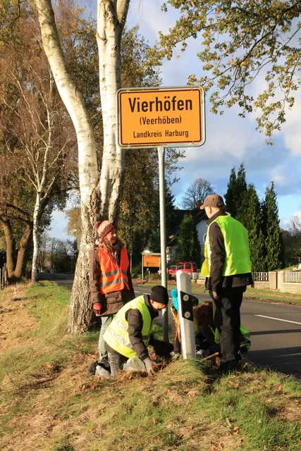 Die Aktion knüpft an an die Frühblüher-Aktion im Jahr 2018, als engagierte Vierhöfener Blumenzwiebeln im Dorf pflanzten | Foto: Freundeskreis Vierhöfen e.V.