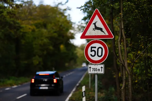 Auf Strecken mit starkem Wildwechsel warnen Verkehrsschilder Autofahrer frühzeitig vor der Gefahr | Foto: ADAC / Steve Bauerschmidt