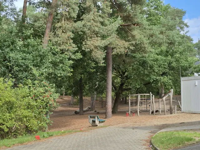 Der Schulwald hinter der Grundschule Horst ist ein beliebter Spielplatz für die Schulkinder | Foto: pöp