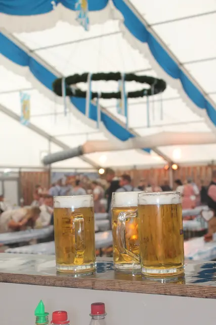 Volles Zelt, beste Laune: Das Oktoberfest hat sich längst zu einem der großen Feste in Revenahe-Kammerbusch entwickelt | Foto: Bernd Meinke