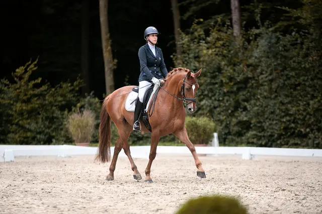 Amelie Weiland (Reit- und Fahrsport Sieversen) wird in diesem Jahr, wie auch ihre beiden Geschwister, an den Start gehen | Foto: Valerie Jenner