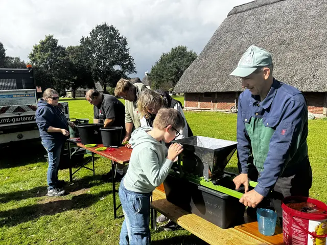 Der Weg zum Birnensaft: Erst schneiden, dann mahlen, dann pressen und zum Schluss trinken  | Foto: sc