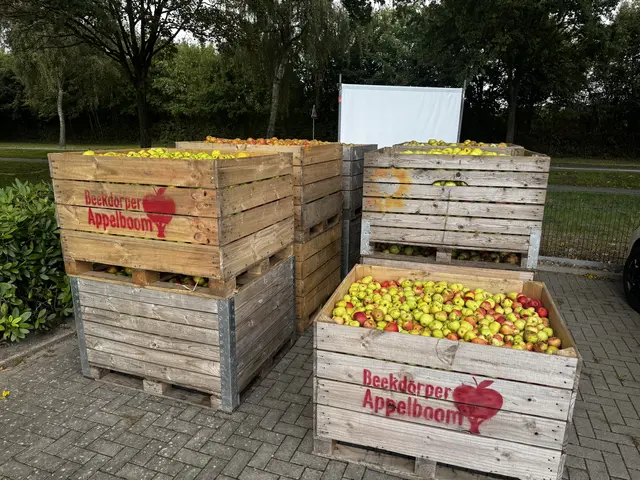 Gesammelte Äpfel von den Kinder- und Jugendfeuerwehrgruppen der Samtgemeinde Apensen | Foto: sc