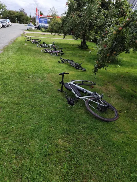 Foto: Weser-Elbe-Marathon 