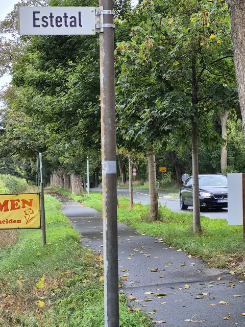 Die Straße Estetal führt zur Kindertagesstätte in Welle. Im Hintergrund rechts zu sehen ist das Ortsausgangsschild. Kurz danach gelten 70 km/h und ein Überholverbot. Manche Autofahrer überholen dennoch  | Foto: Pahl