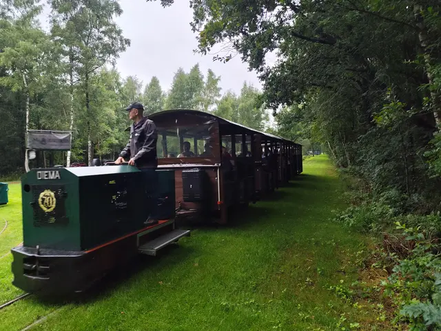 Mit der Moorbahn geht's durch idyllische Tister Bauernmoor und zu den Kranichen | Foto: Moorbahnverein Burgsittensen