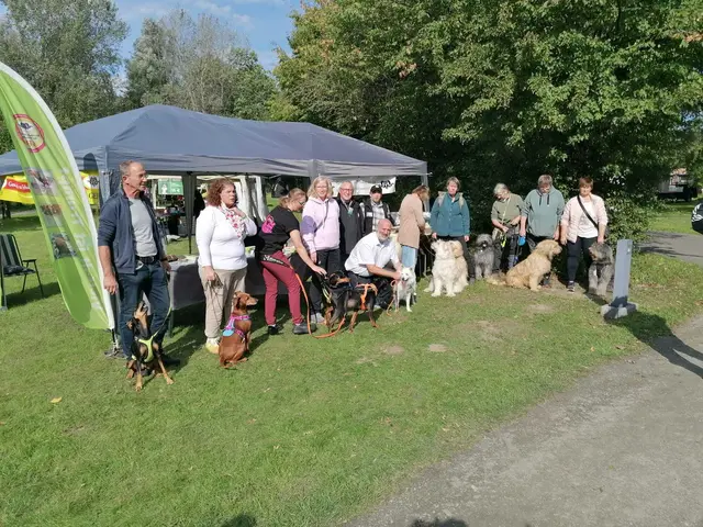 Ein Teil der Halterinnen und Halter mit ihren Hunden | Foto: Christine Heidemann