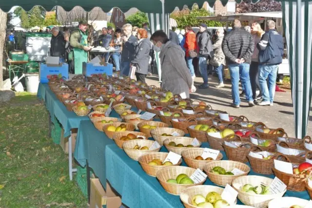 Beim Ahlerstedter Apfeltag wird die Vielfalt der Apfelsorten gezeigt | Foto: Dorferneuerungsverein Ahlerstedt