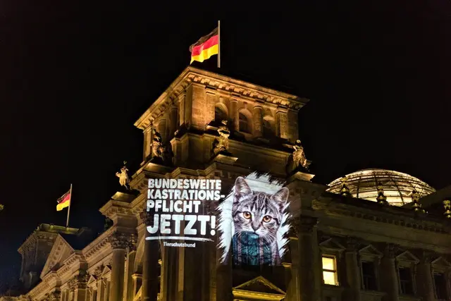 Projektion mit dem Appell „Bundesweite Kastrationspflicht jetzt“ auf dem Reichstagsgebäude | Foto: Deutscher Tierschutzbund e.V. / PixelHELPER.org Foundation