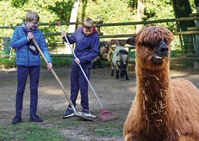 Zum Ferienprogramm "Kleiner Tierpfleger" gehört auch ausmisten im Wildpark Schwarze Berge dazu | Foto: Wildpark Schwarze Berge